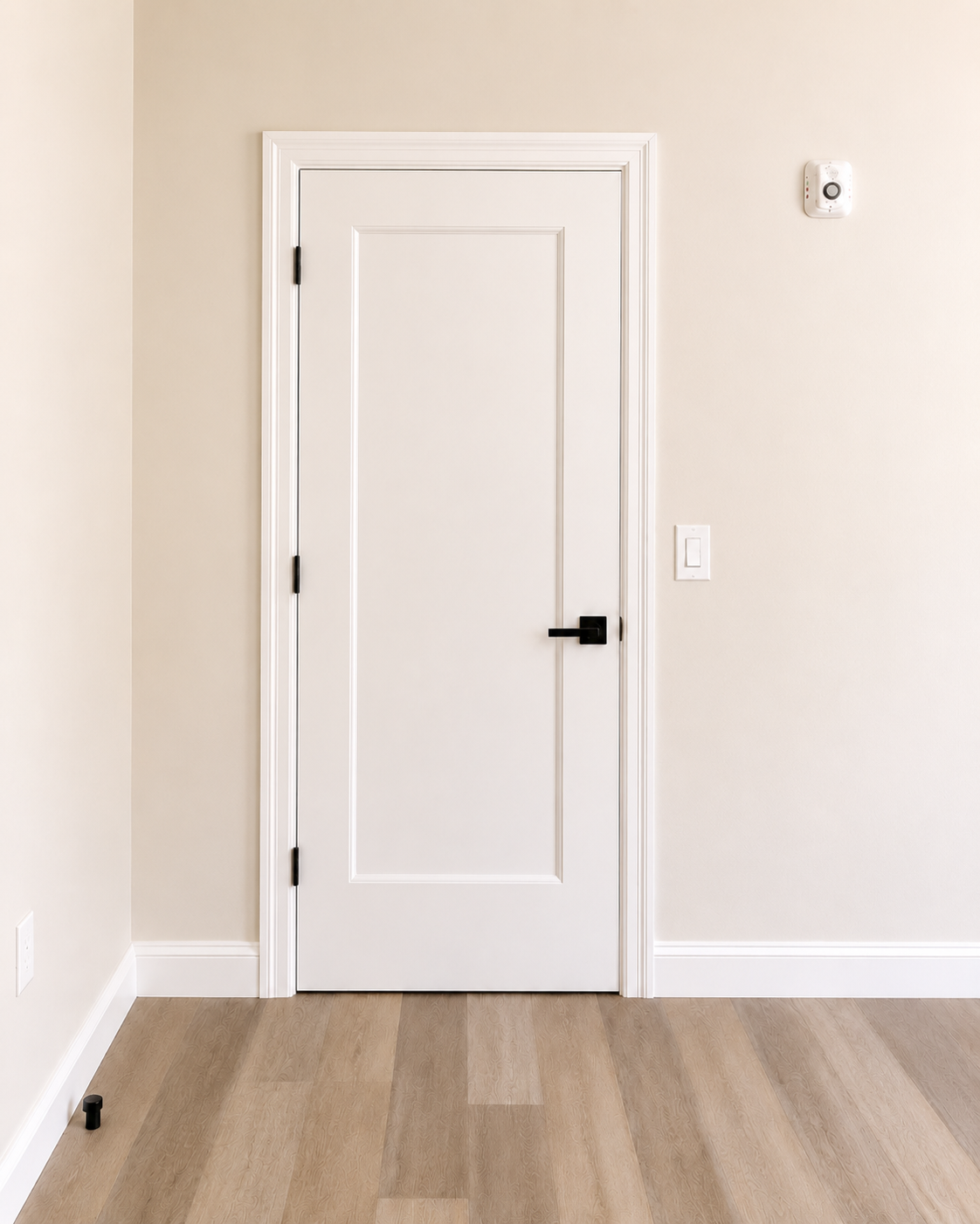 Interior panel door with matte black hardware and light wood-look flooring